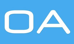 软件外包公司、OA系统开发功能有哪些？费用是多少-MK体育·(国际)官方网站-mksport公司[北京MK体育·(国际)官方网站-mksport]